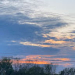 Meet your Posher, Mackenzie